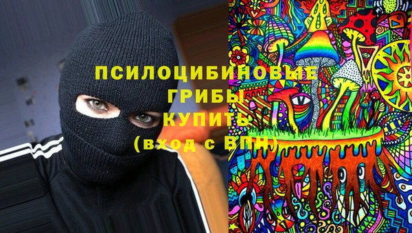 гидра Арсеньев