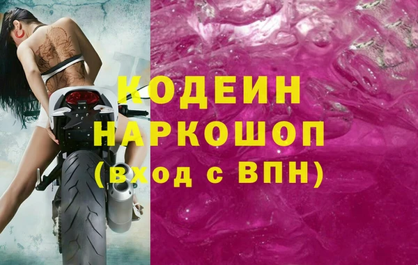 гидра Арсеньев