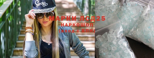 гидра Арсеньев