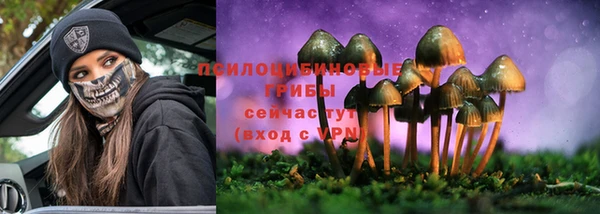 гидра Арсеньев