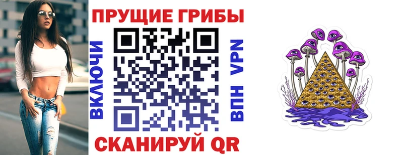 Псилоцибиновые грибы Psilocybine cubensis  Купить где  Усмань 
